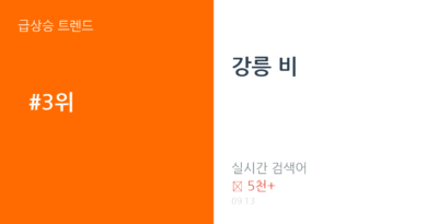 강릉 비 트렌드 요약 thumbnail 카드뉴스