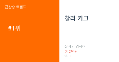 찰리 커크 트렌드 요약 thumbnail 카드뉴스