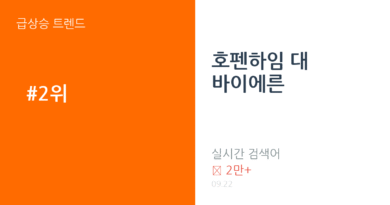 호펜하임 대 바이에른 트렌드 요약 thumbnail 카드뉴스