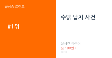 수탉 납치 사건 트렌드 요약 thumbnail 카드뉴스